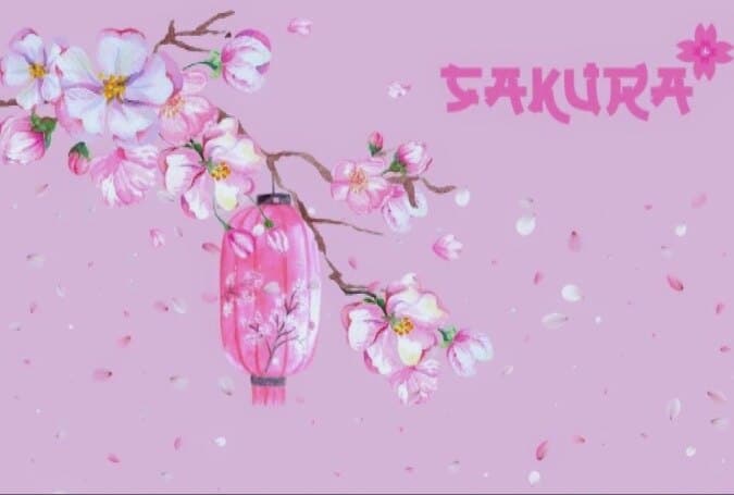 ๐ธ SakuraBlossom ๐ธ banner image