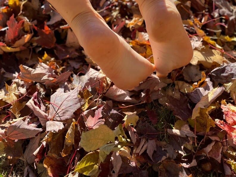 Barefoot bloom banner image