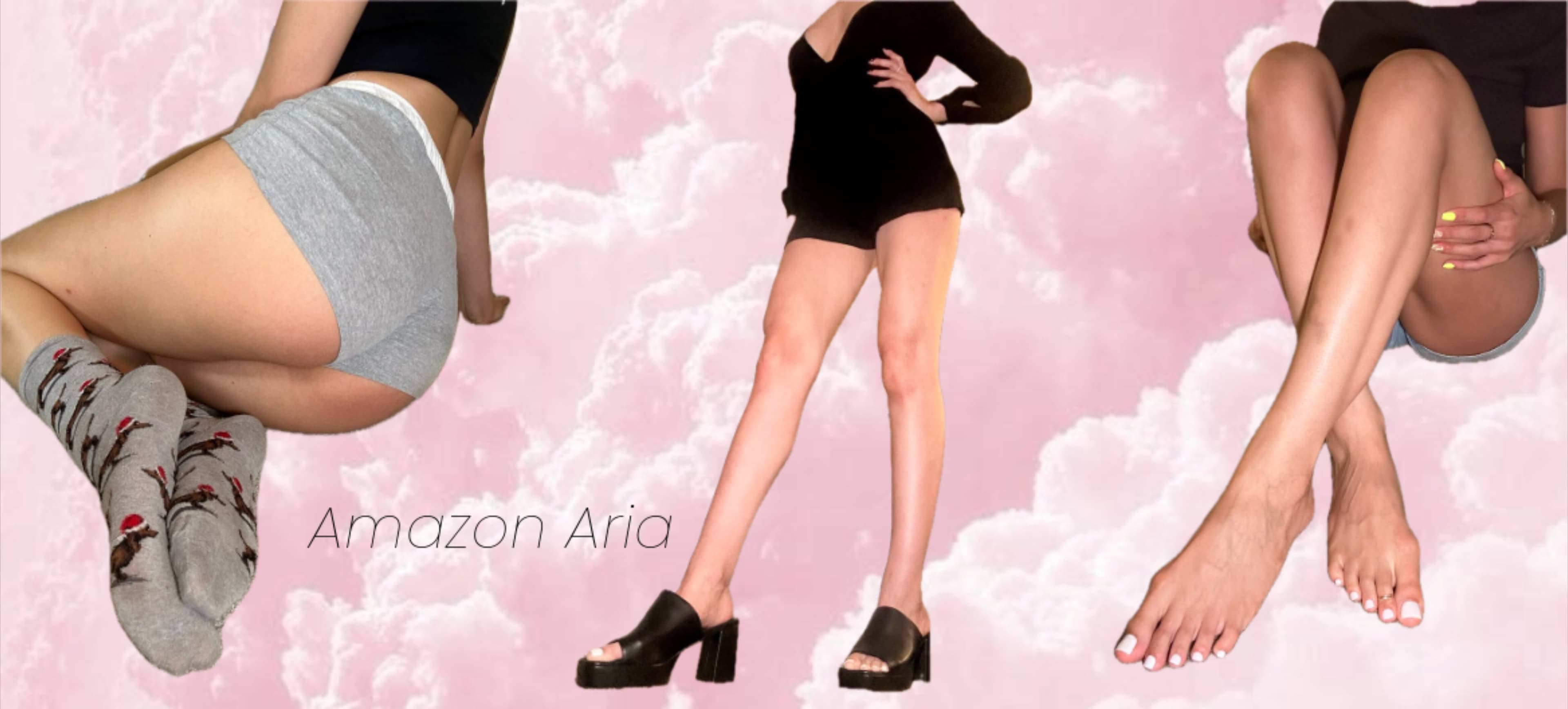 ✨ Amazon Aria ✨ banner image