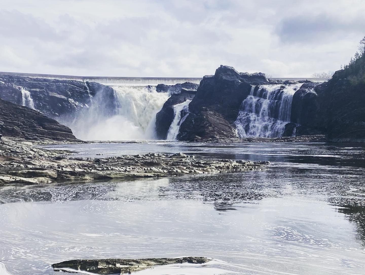 patagnaomi banner image