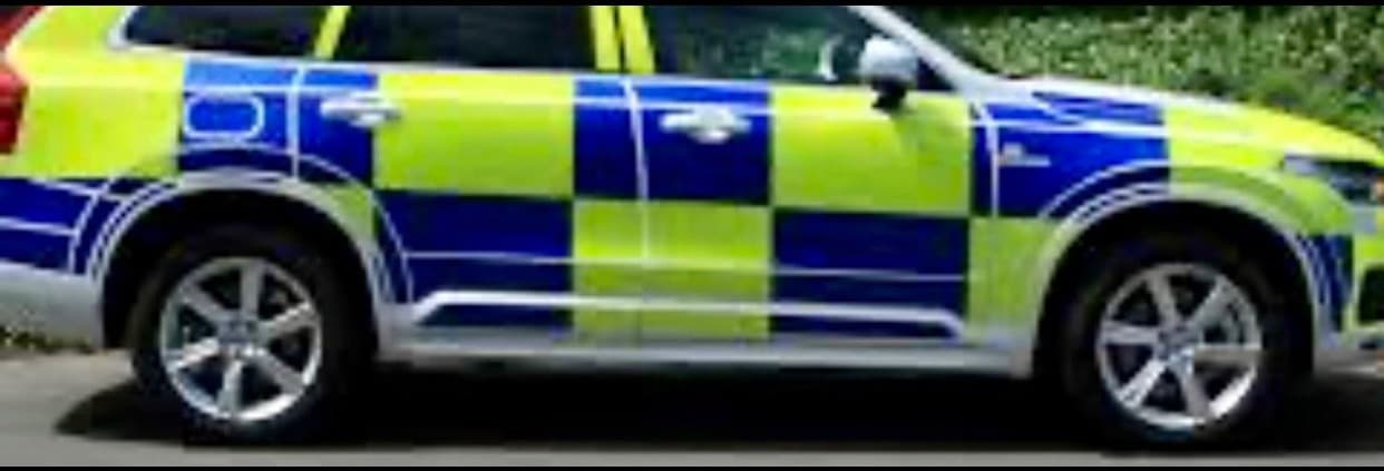 Officer Del banner image