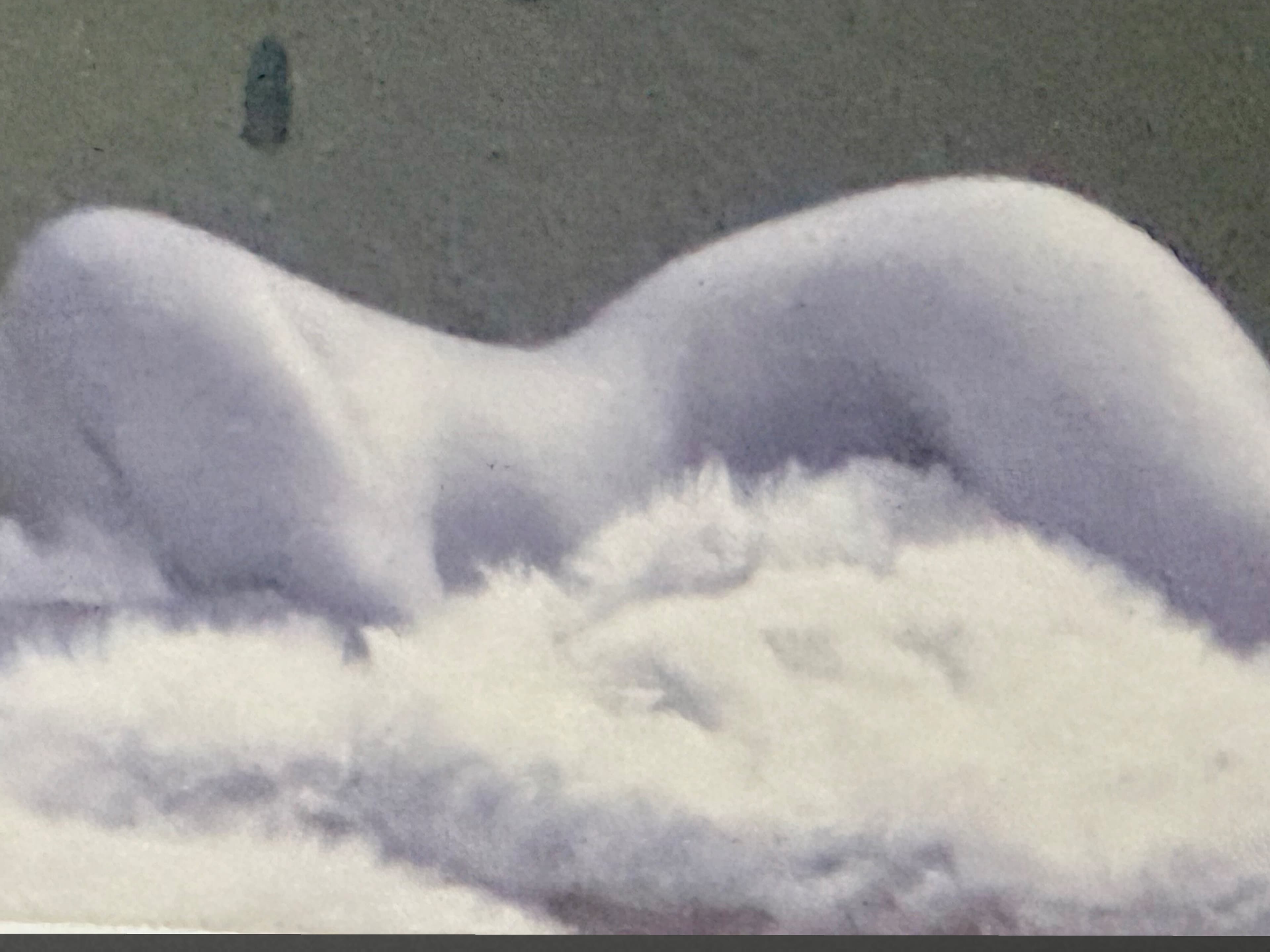 AnaBella Vixen banner image