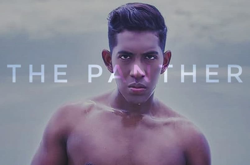 JRonny Panther banner image