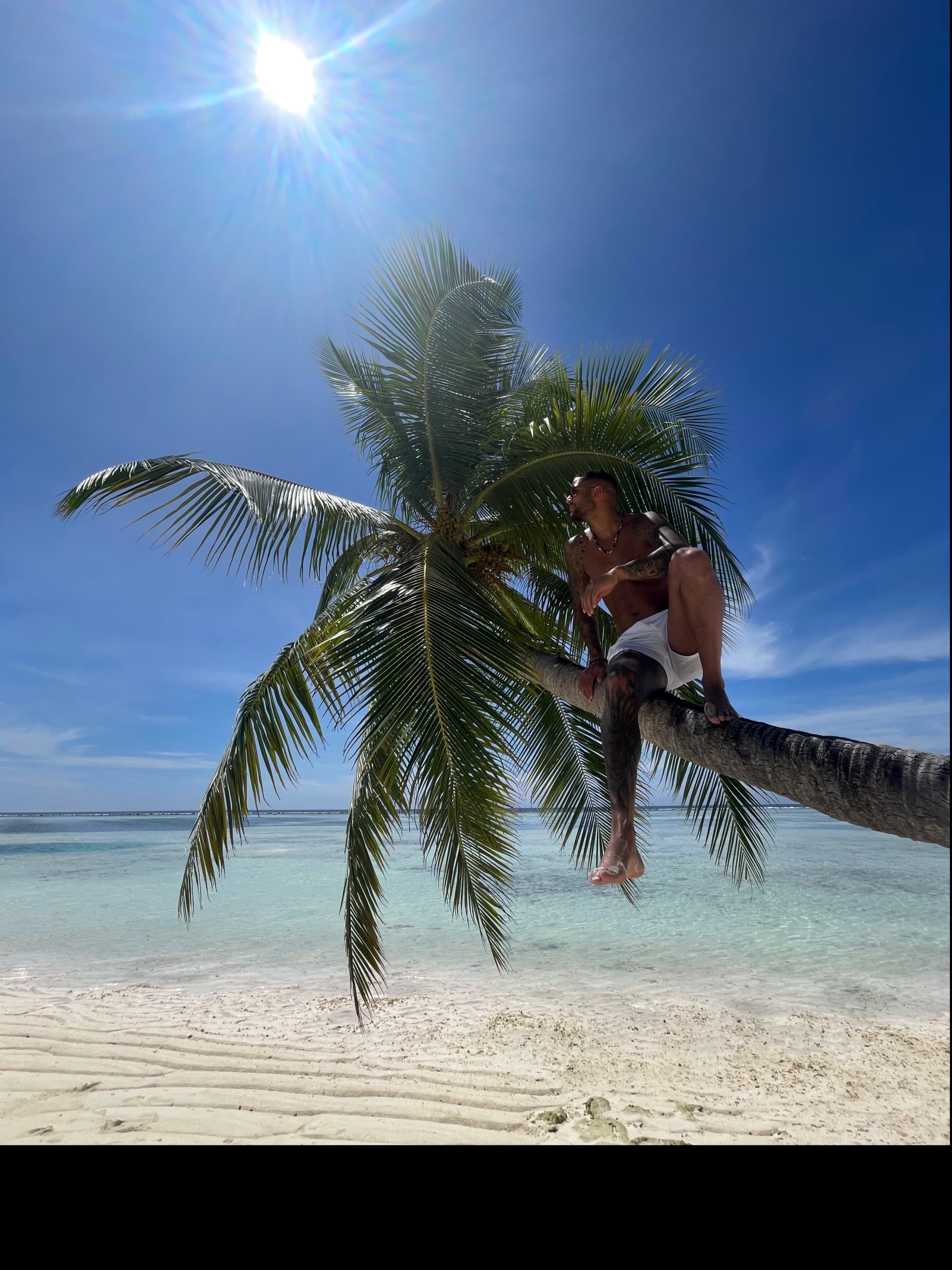DJ banner image