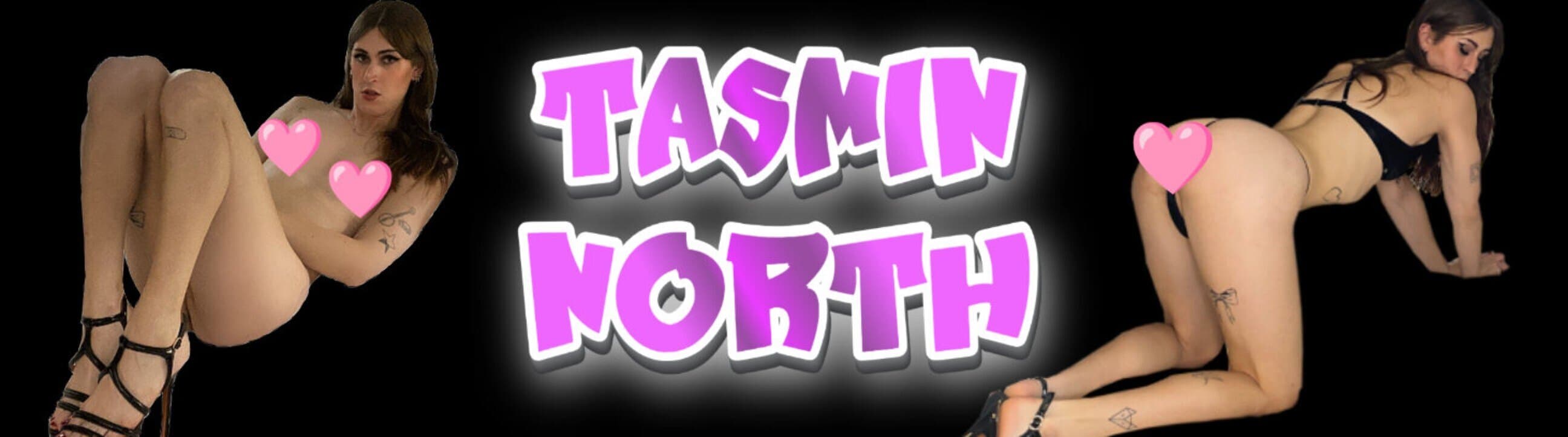 Tasmin North banner image