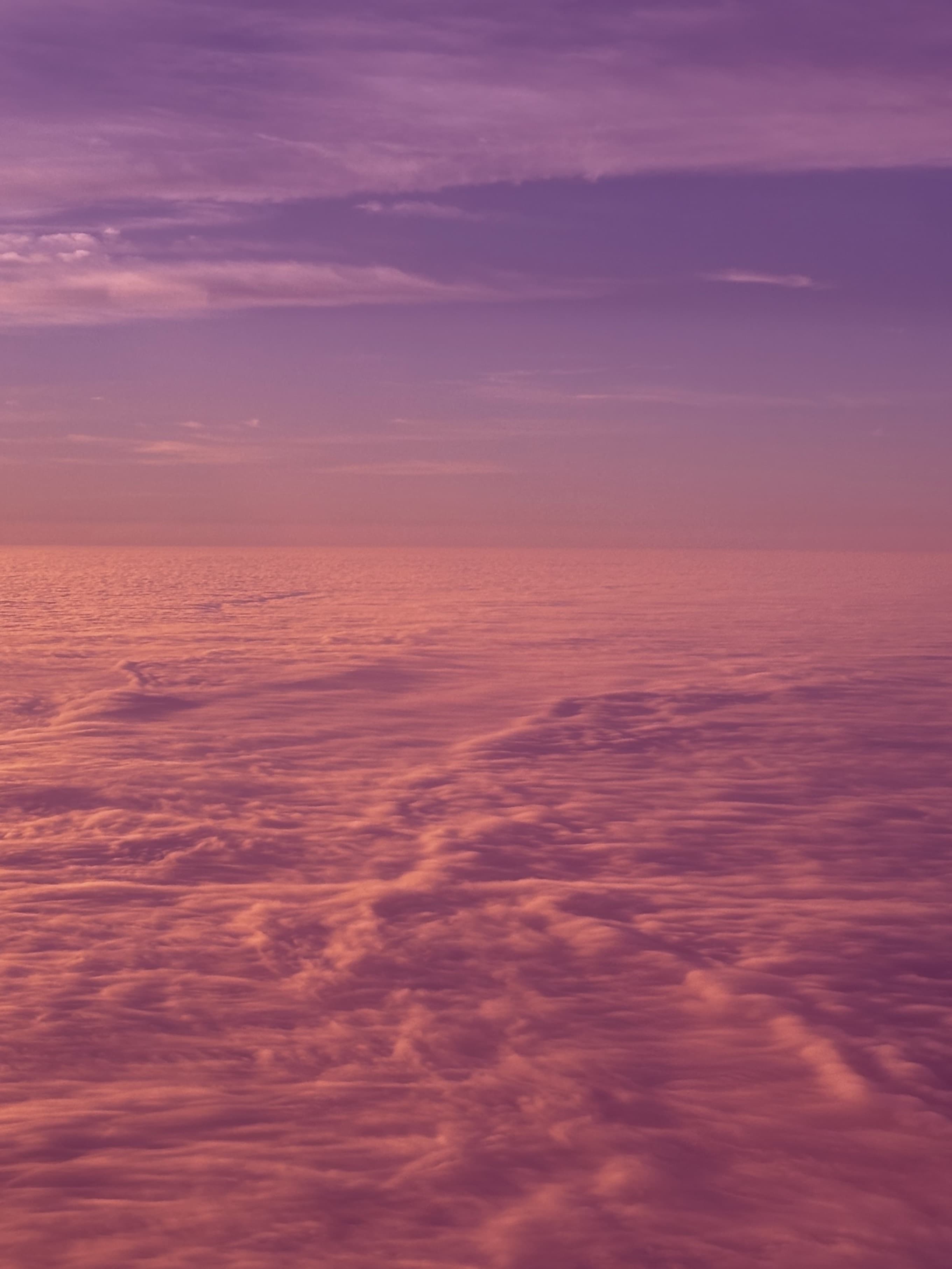 Simone banner image