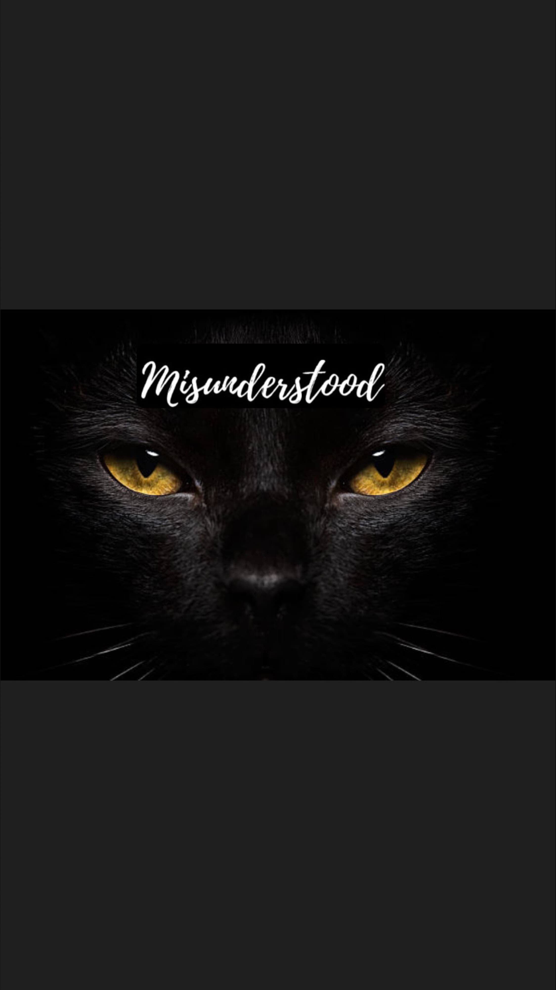 Misunderstood banner image