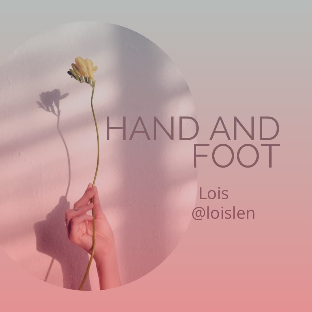 Lois banner image