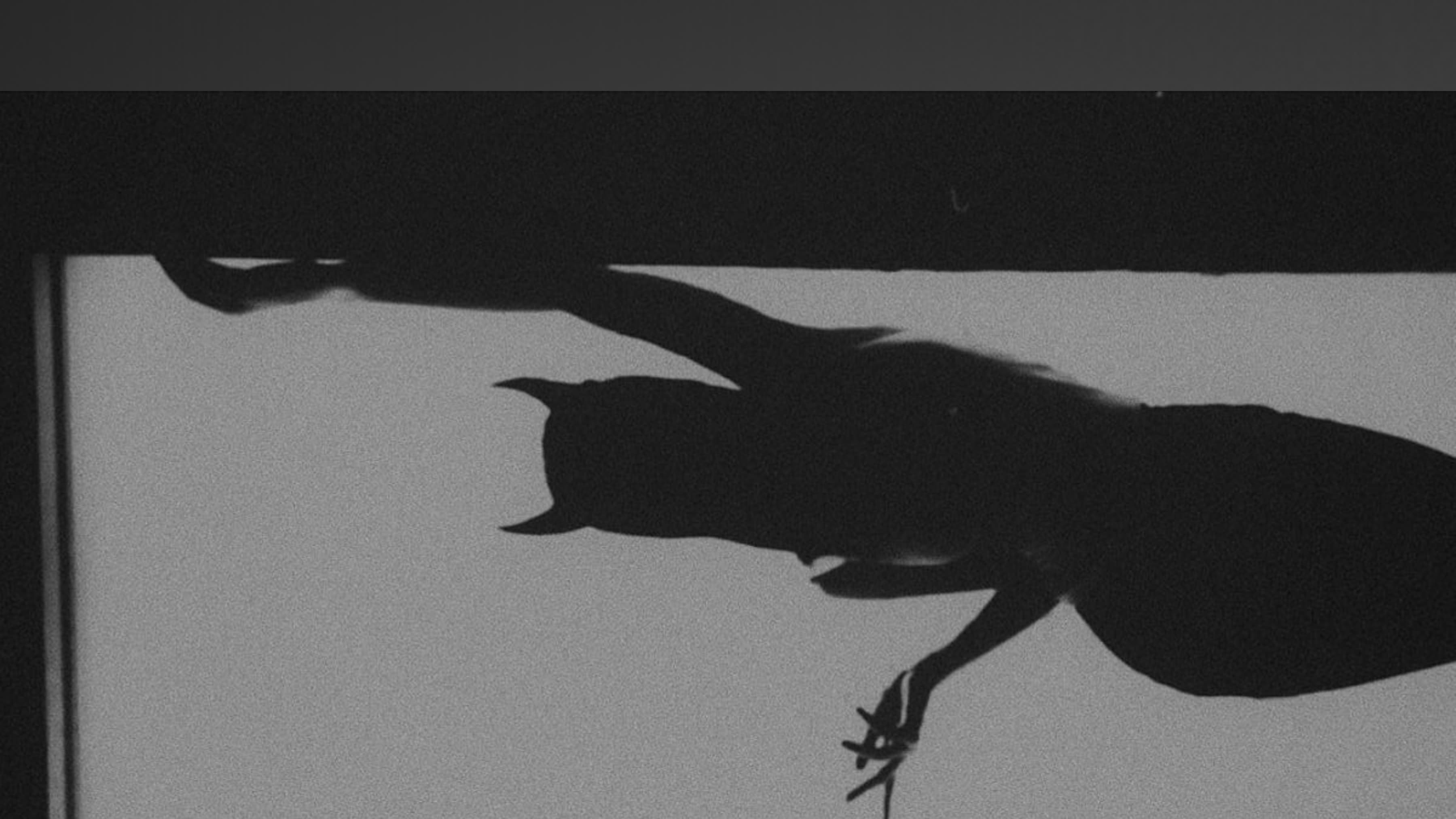 KarleenaKnight banner image
