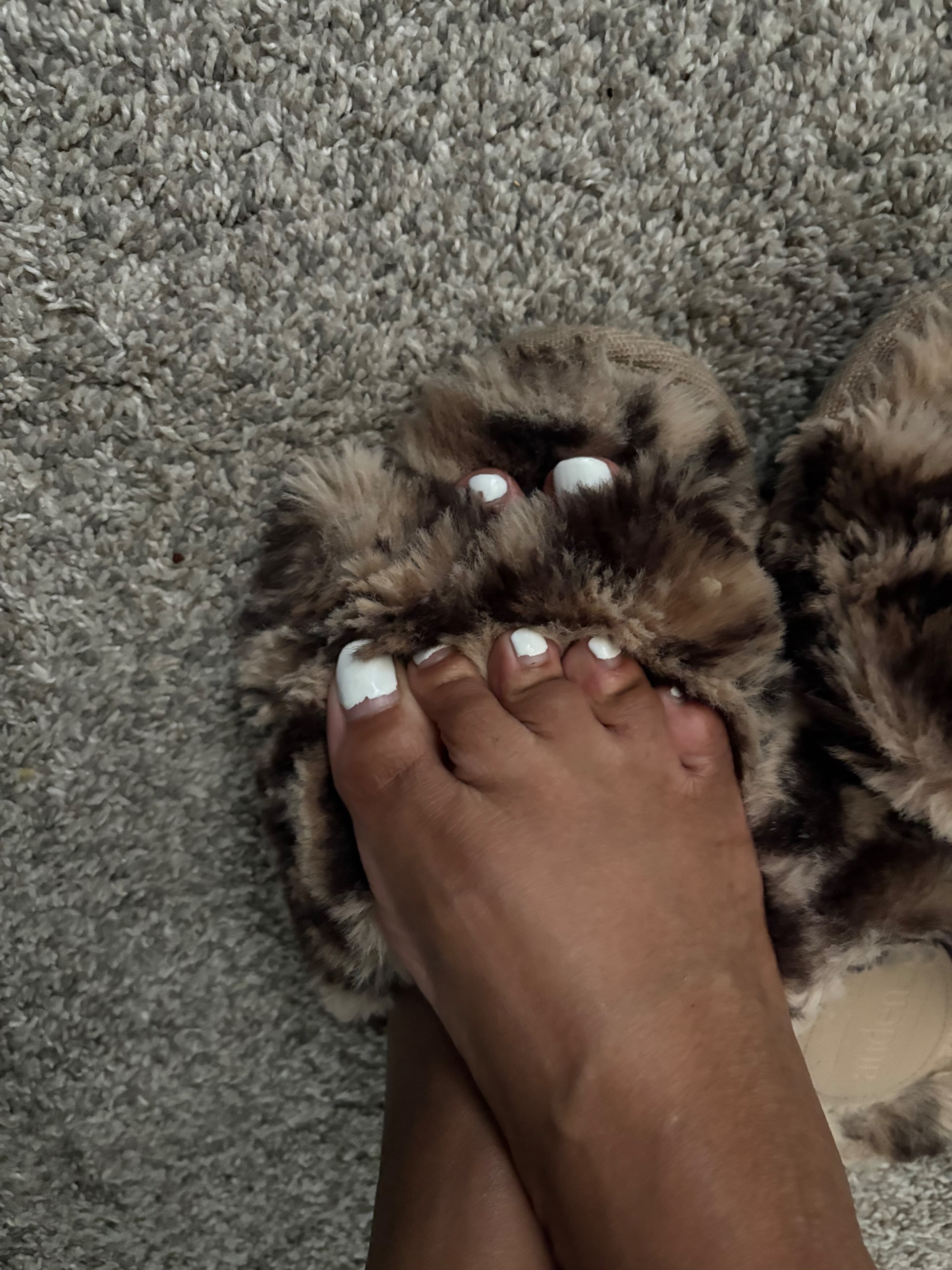 Toe-tally Cute banner image