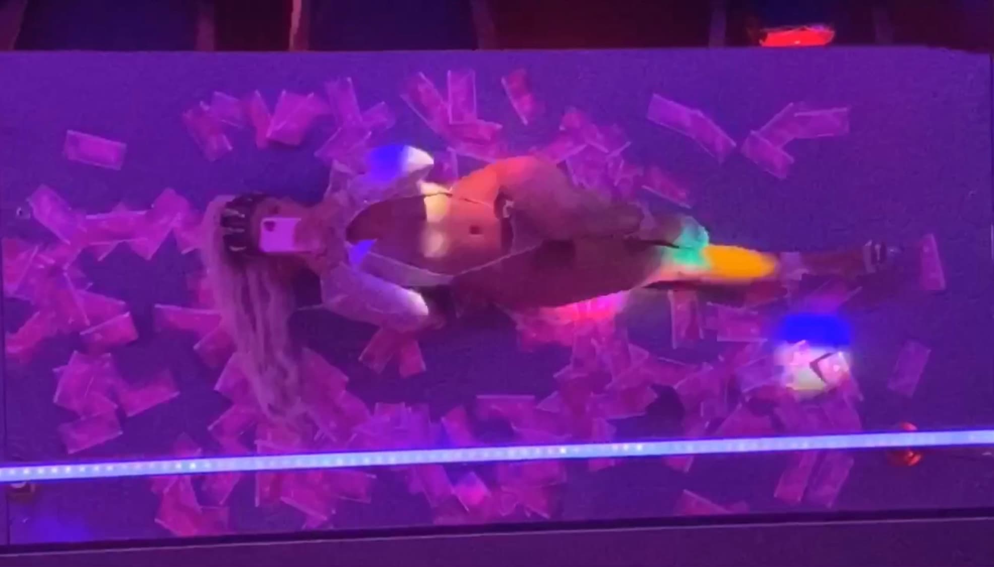 HARLEY QUEENING ๐ banner image