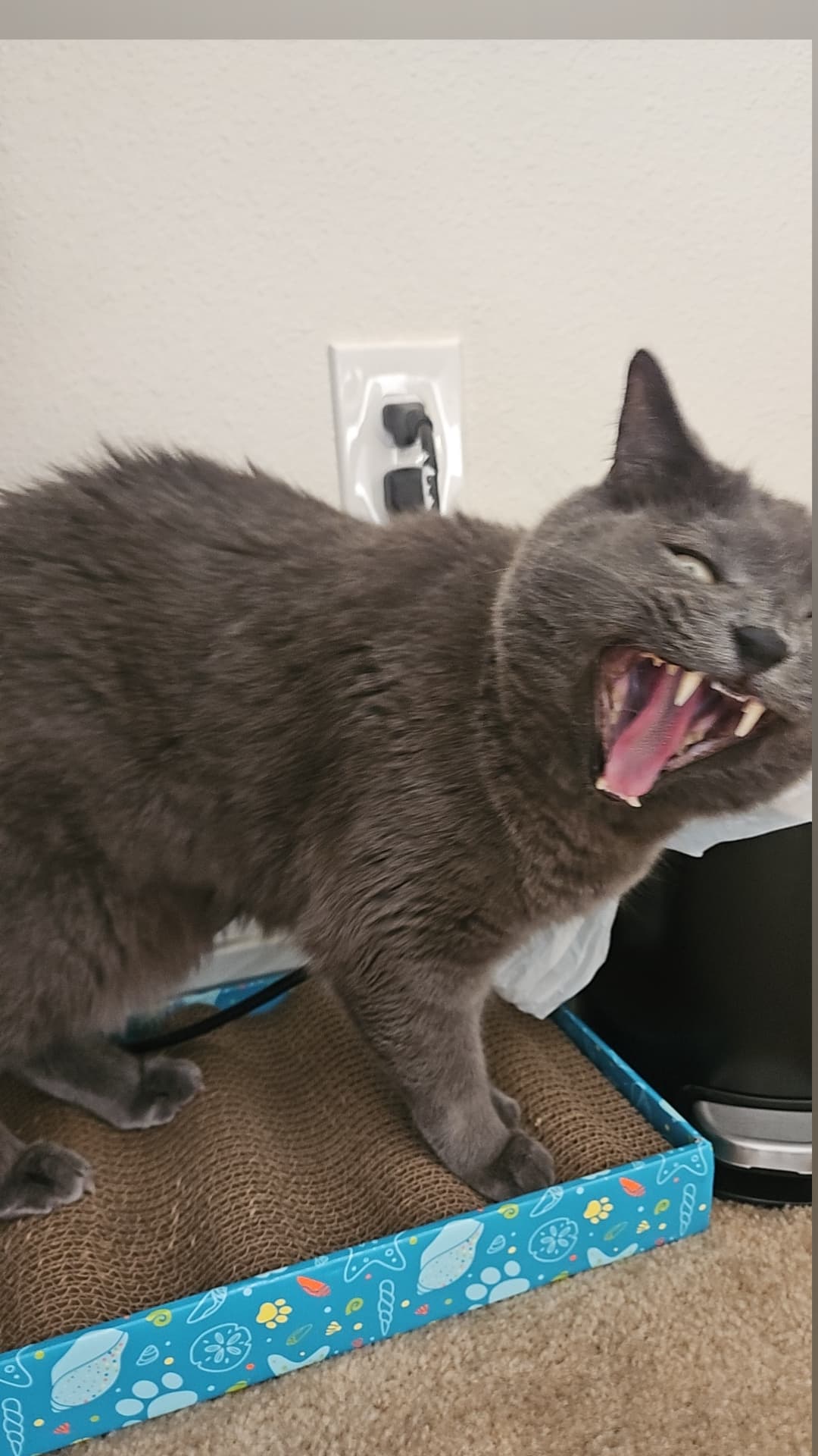 D banner image