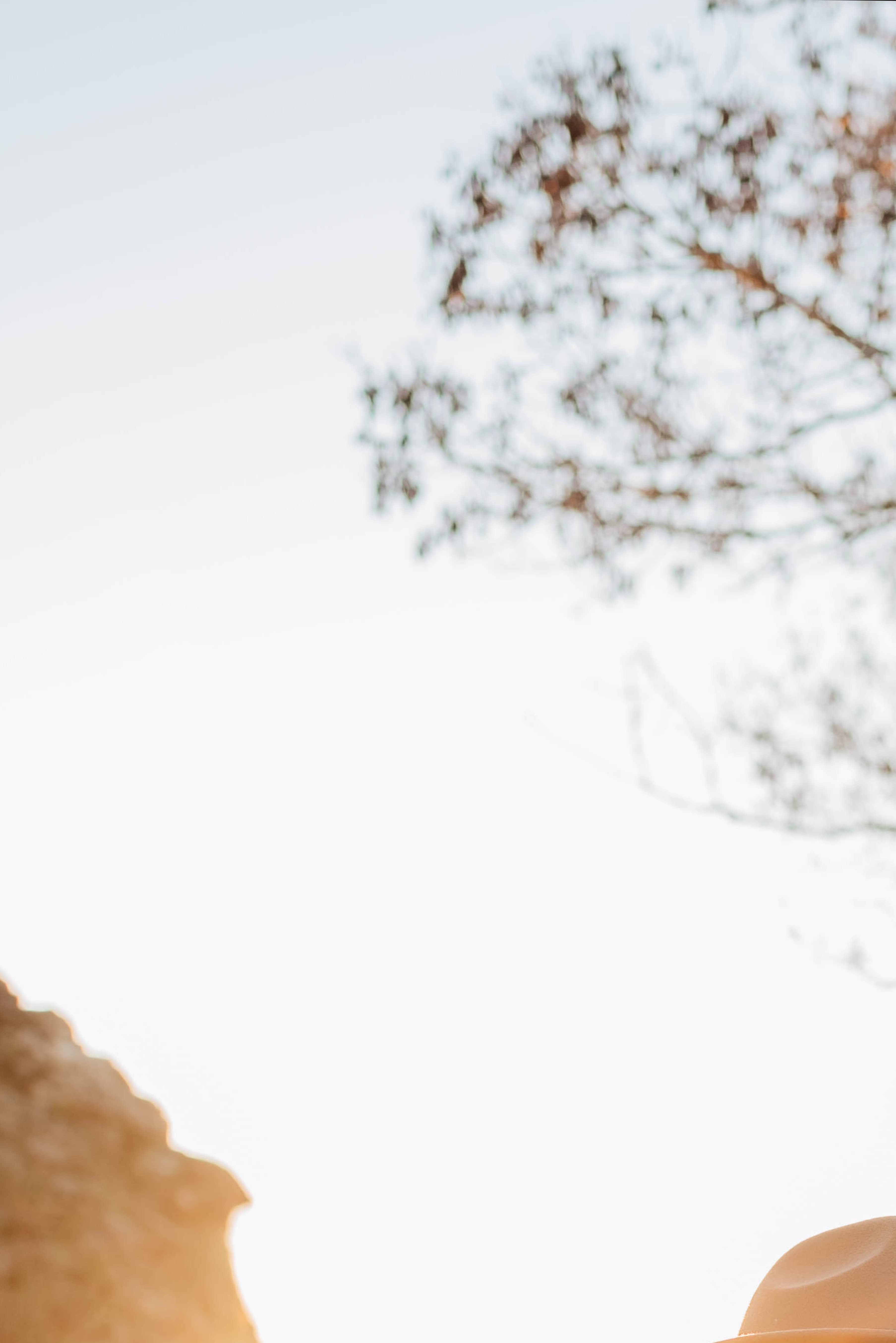 Ally banner image