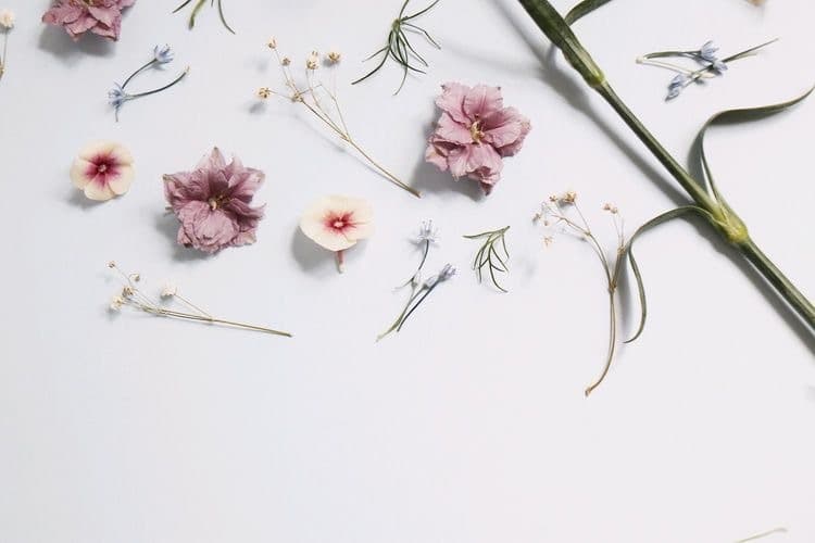 Koreana_90 banner image