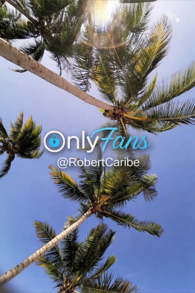 Robert Caribe 🔥 banner image