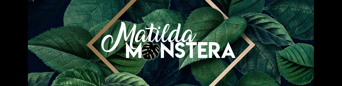 Matilda Monstera banner image
