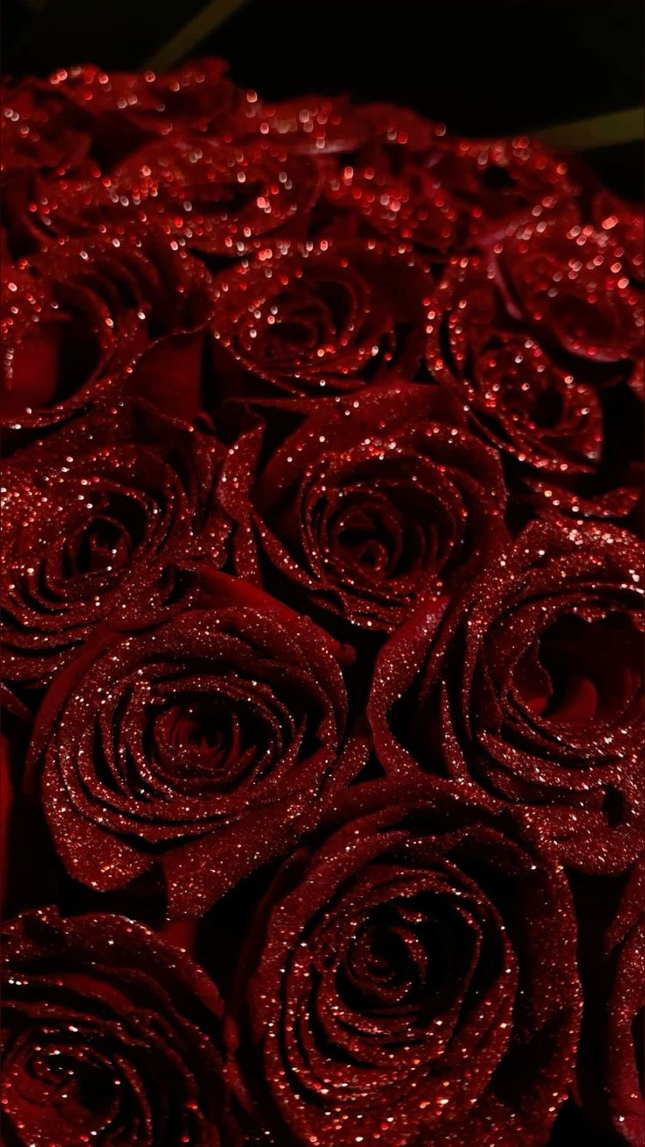 Symphony ♡ banner image