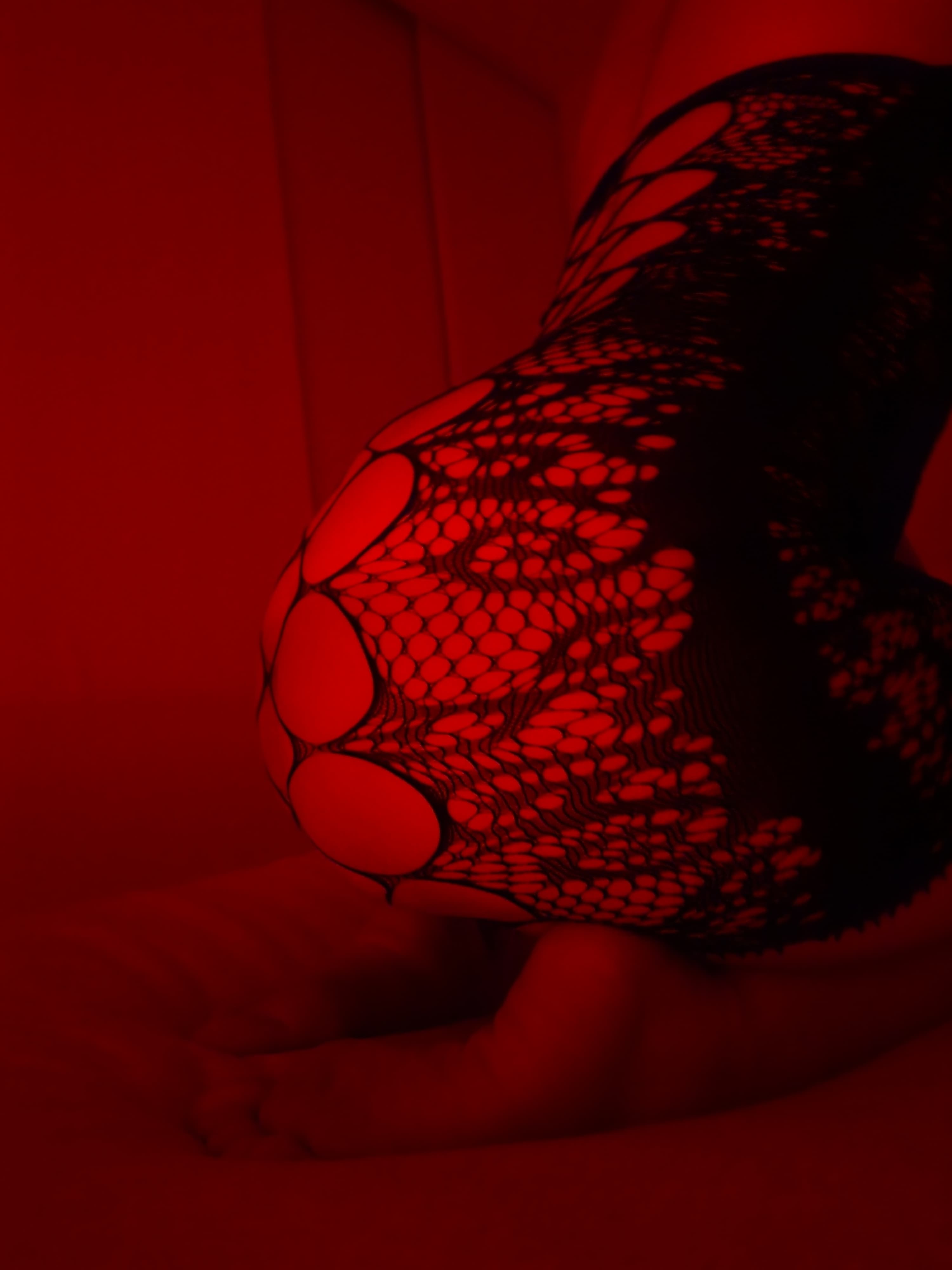 Lola banner image