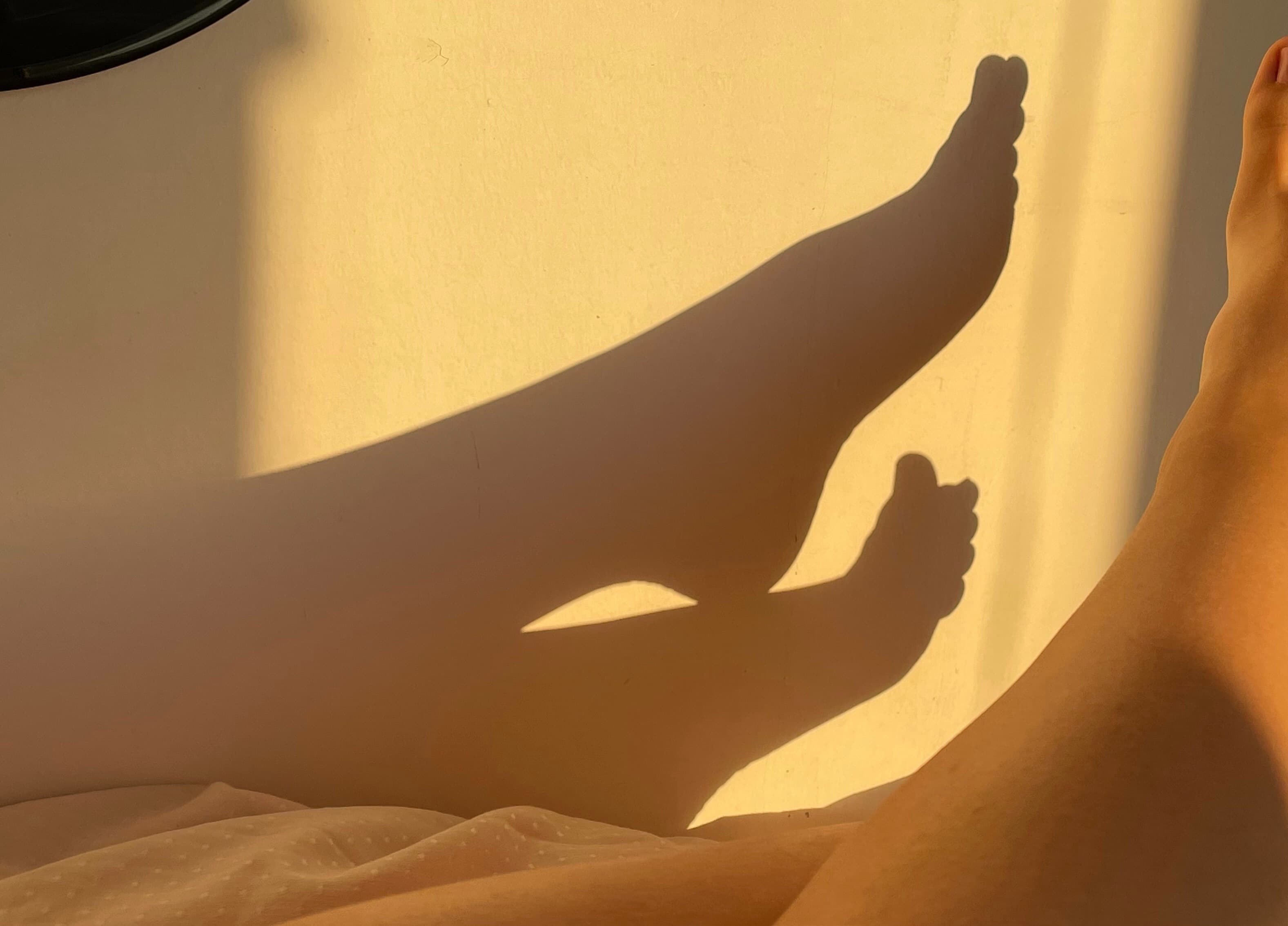 Růženka banner image