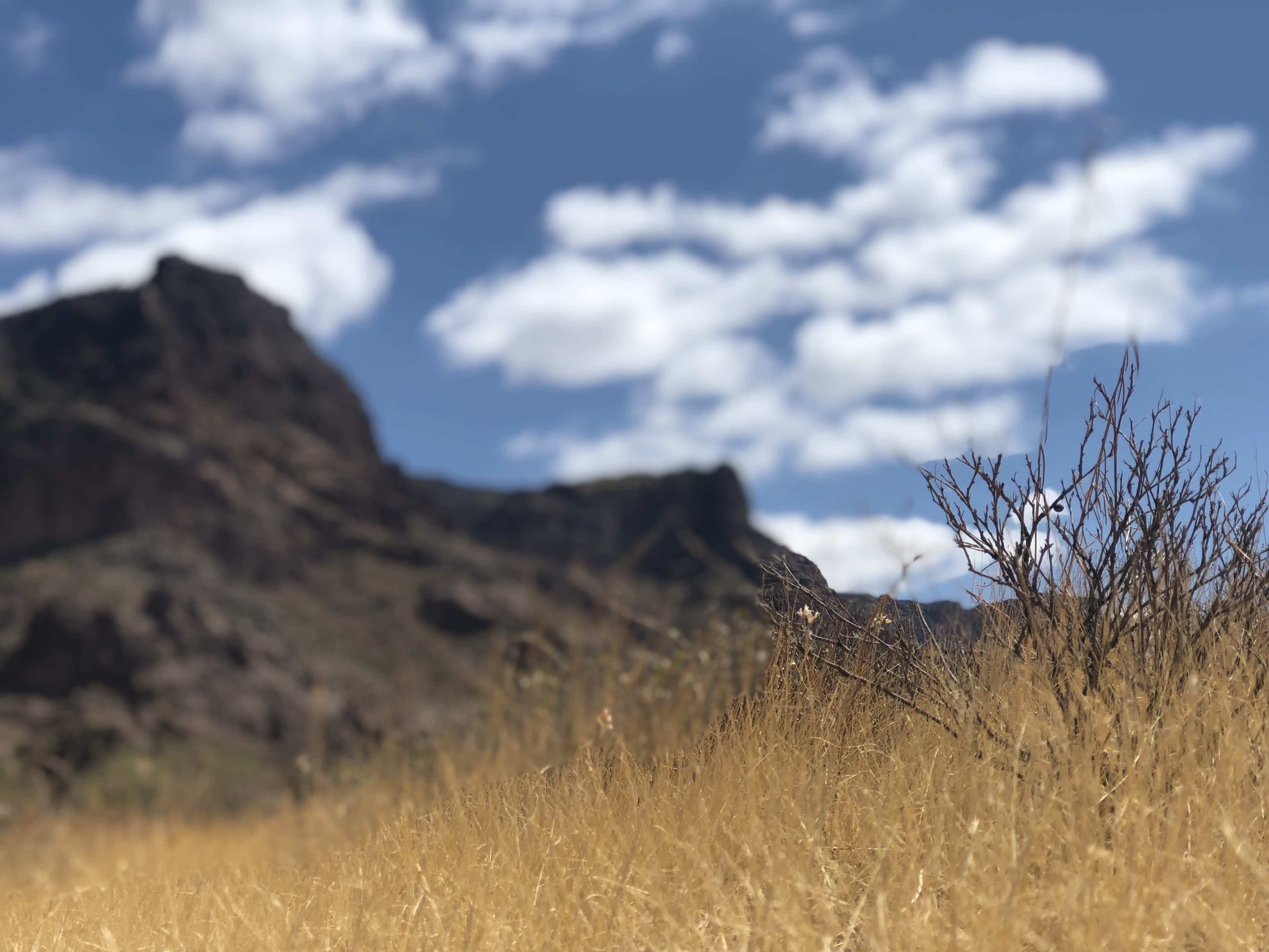 Lizababy banner image