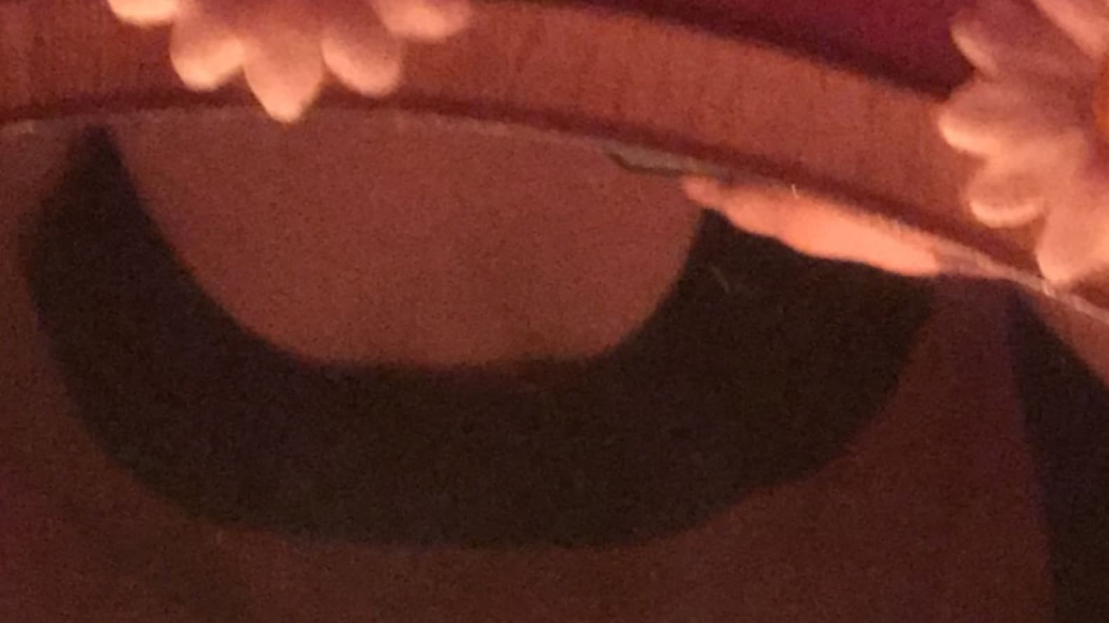gvzeeel banner image