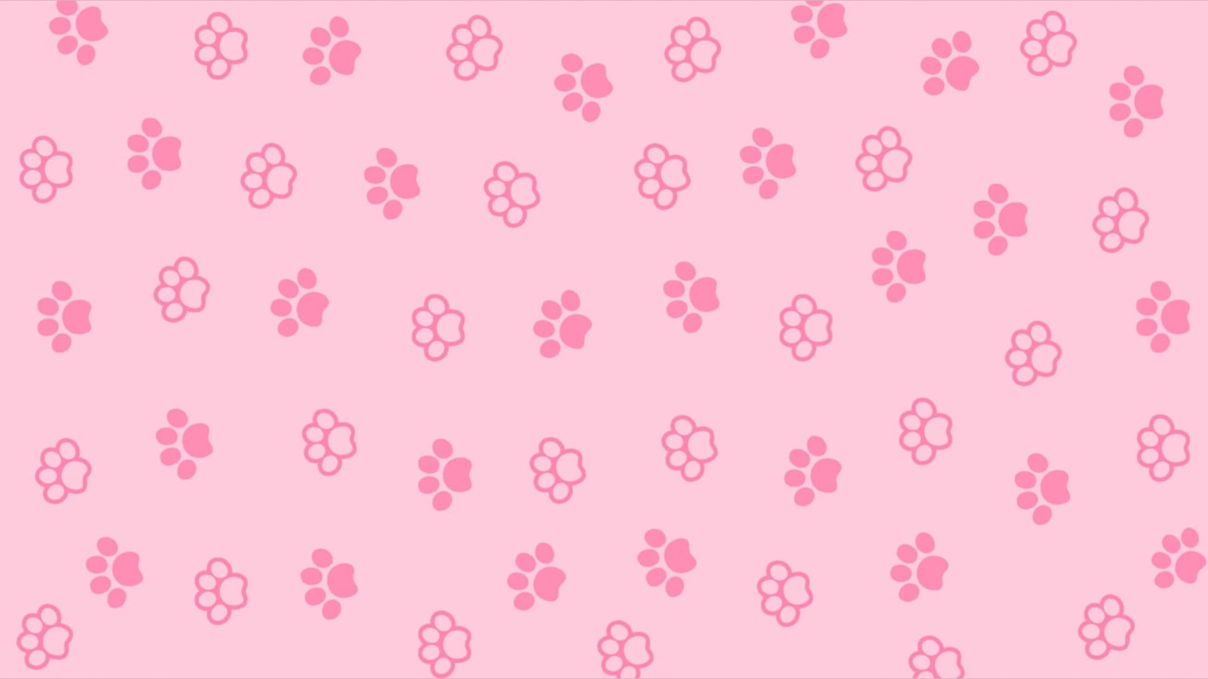 Anita banner image