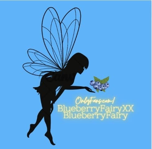 BlueberryFairy🫐🧚♂️ banner image