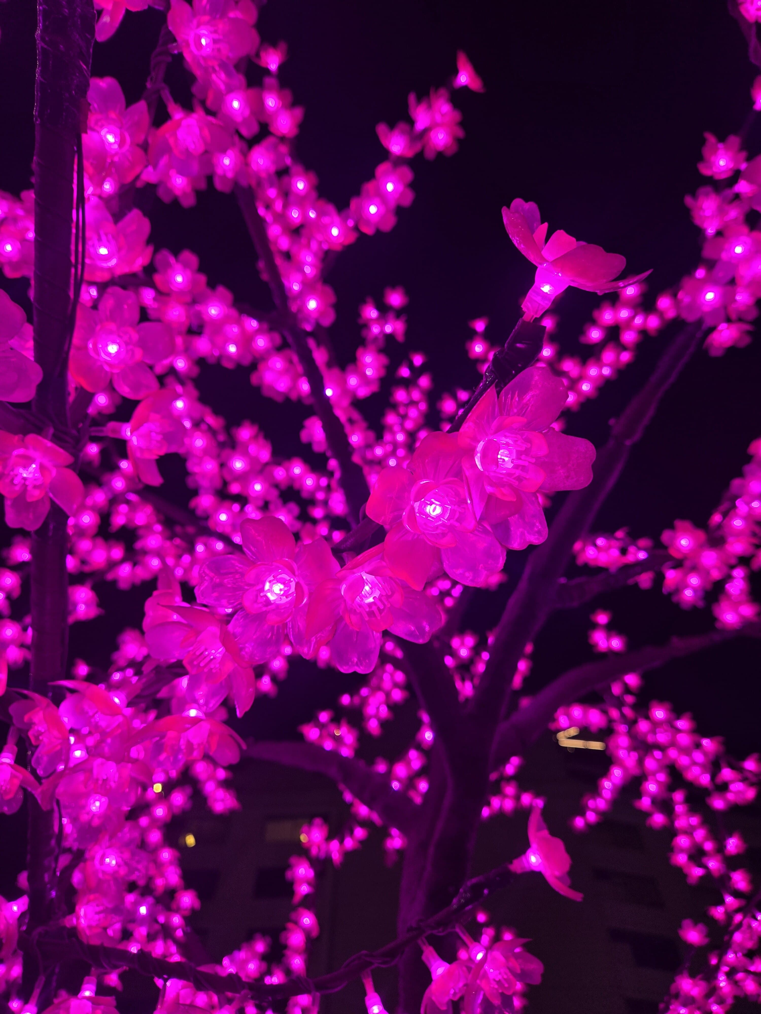 Alexx7777 banner image