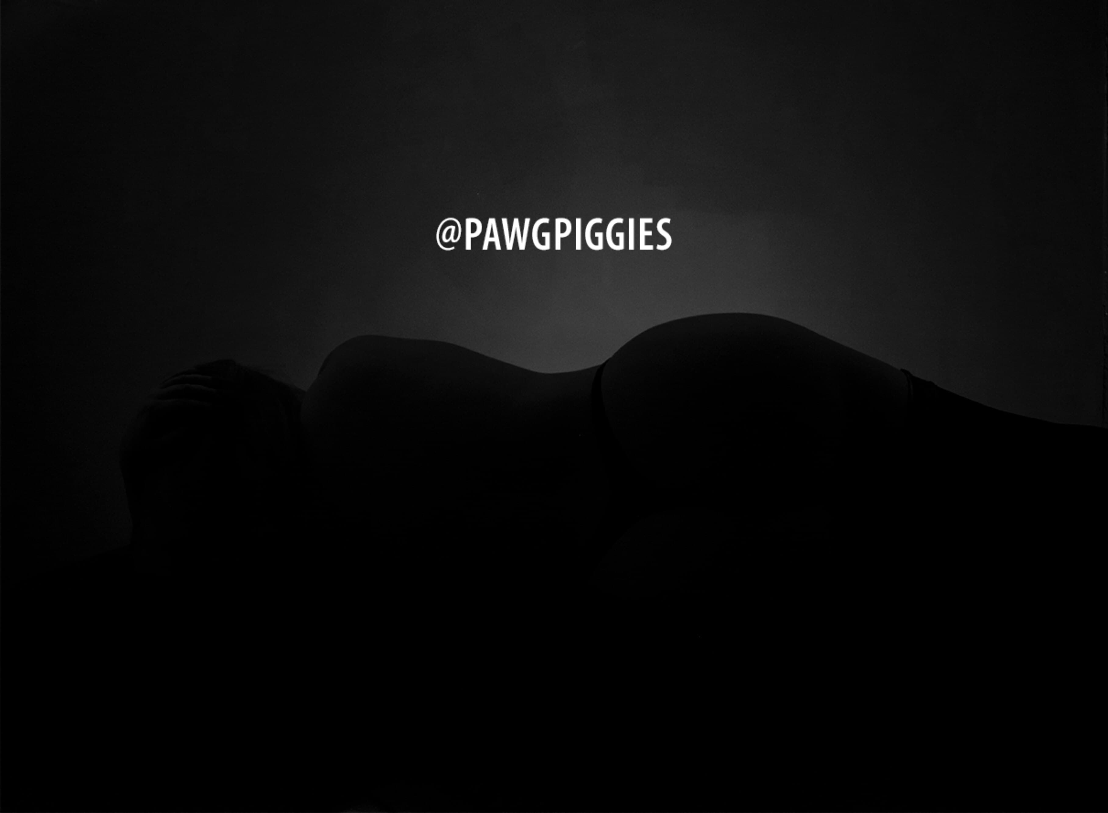 Pawg Piggies banner image