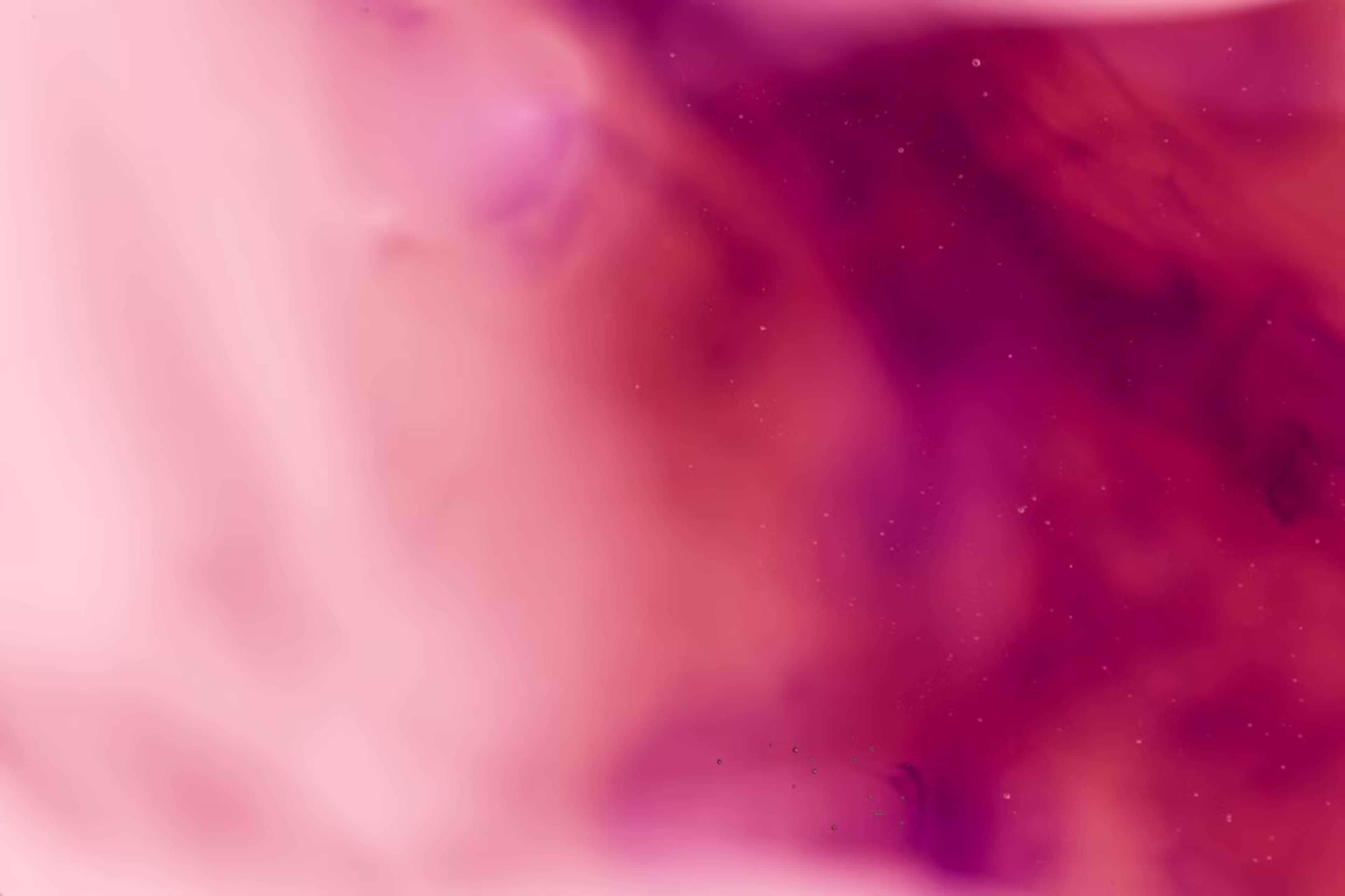 Lara Donnarumma banner image