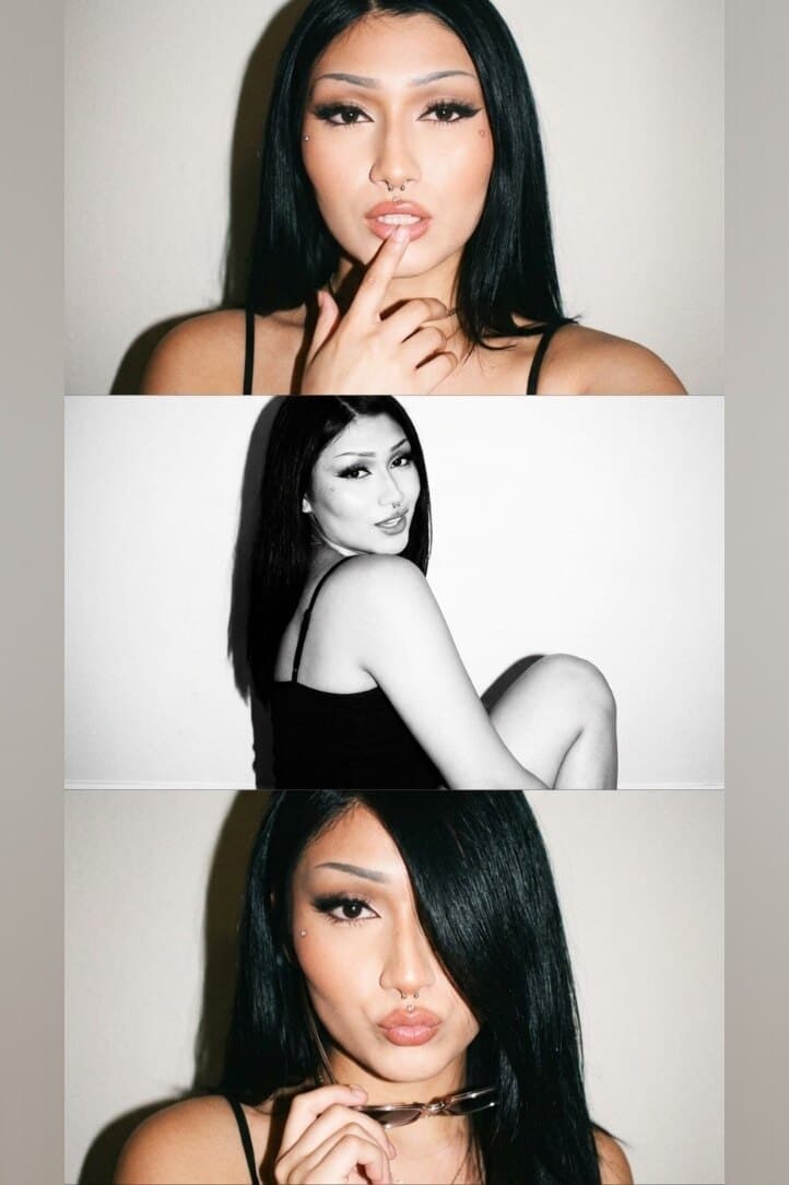 Vixen banner image
