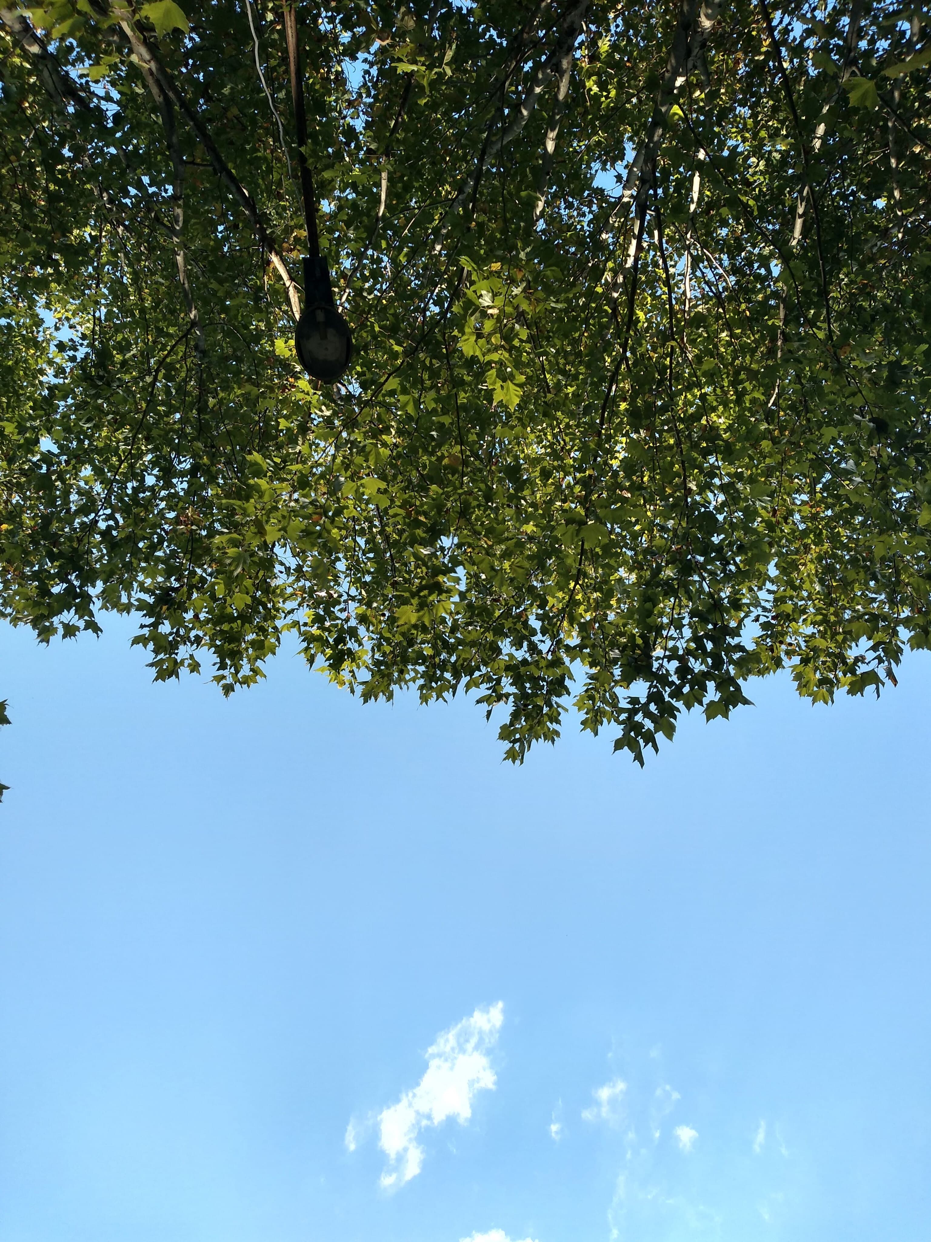Good vibes banner image