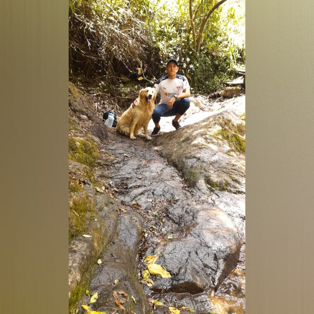 UNA 2° OPORTUNIDAD PARA NIÑOS DE 4 PATAS banner image
