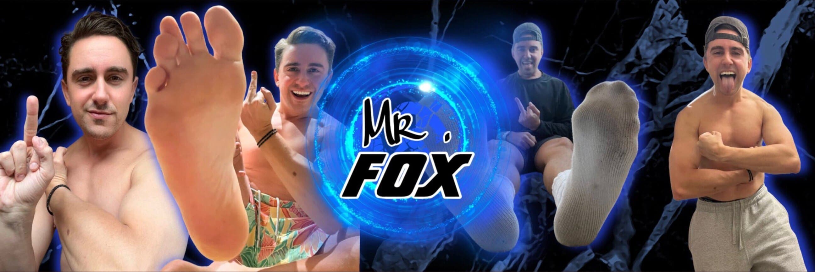 Mr. Fox banner image