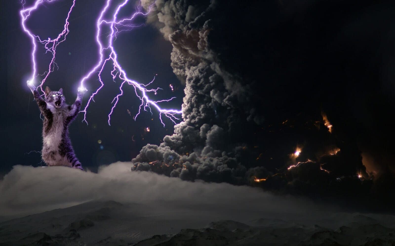 Kitty Storms banner image