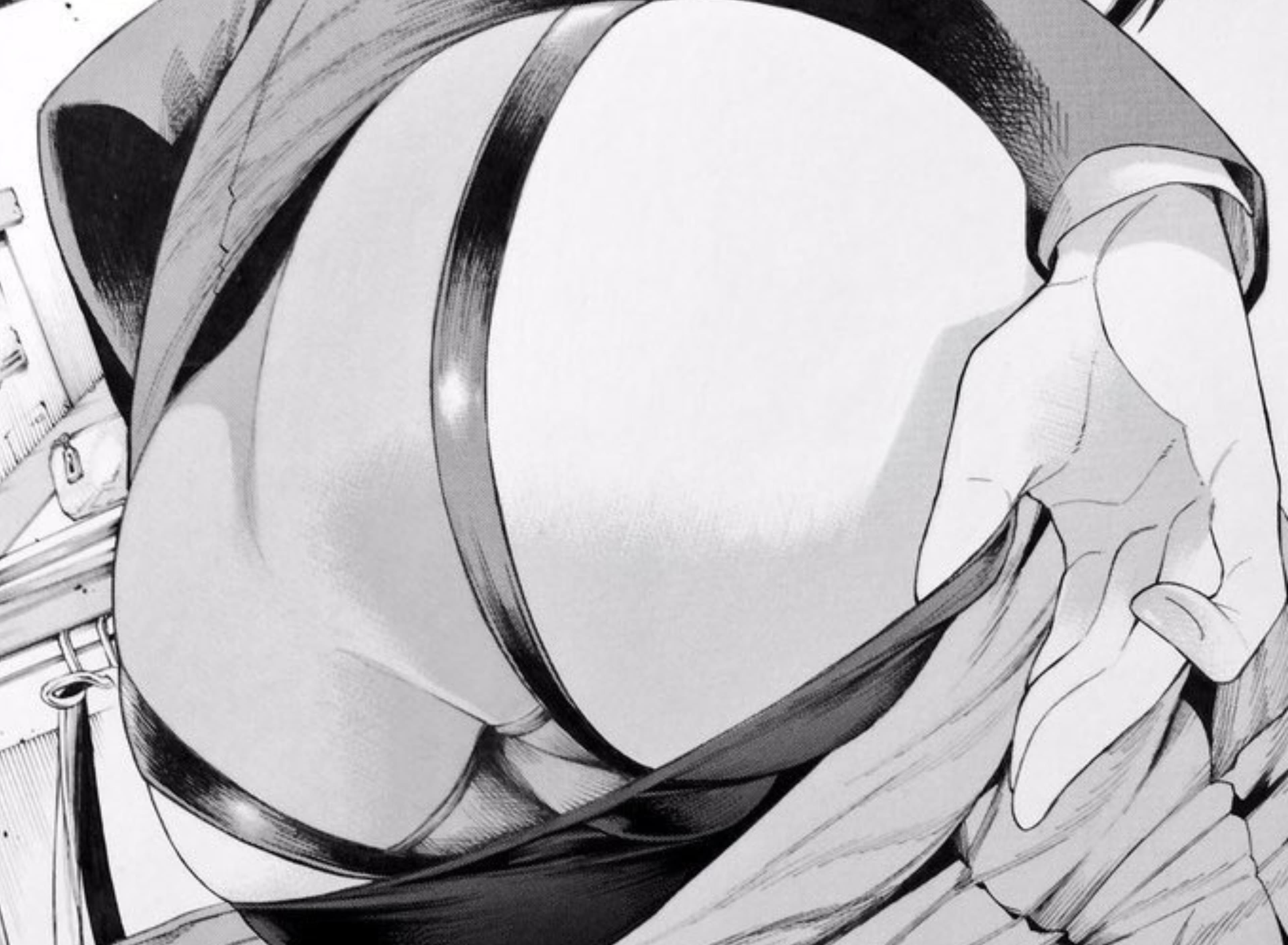Opal banner image