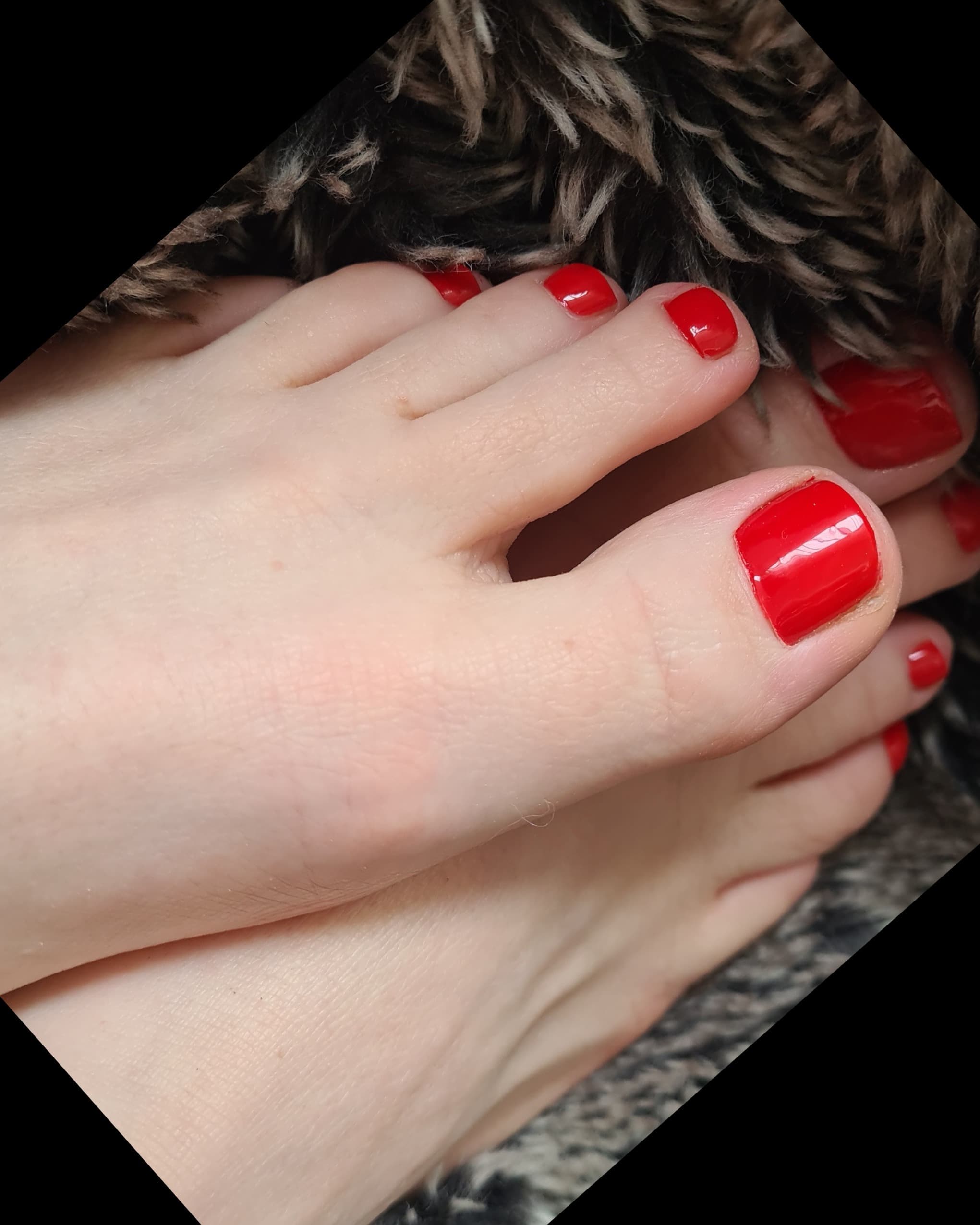 Feet of Switzerland banner image