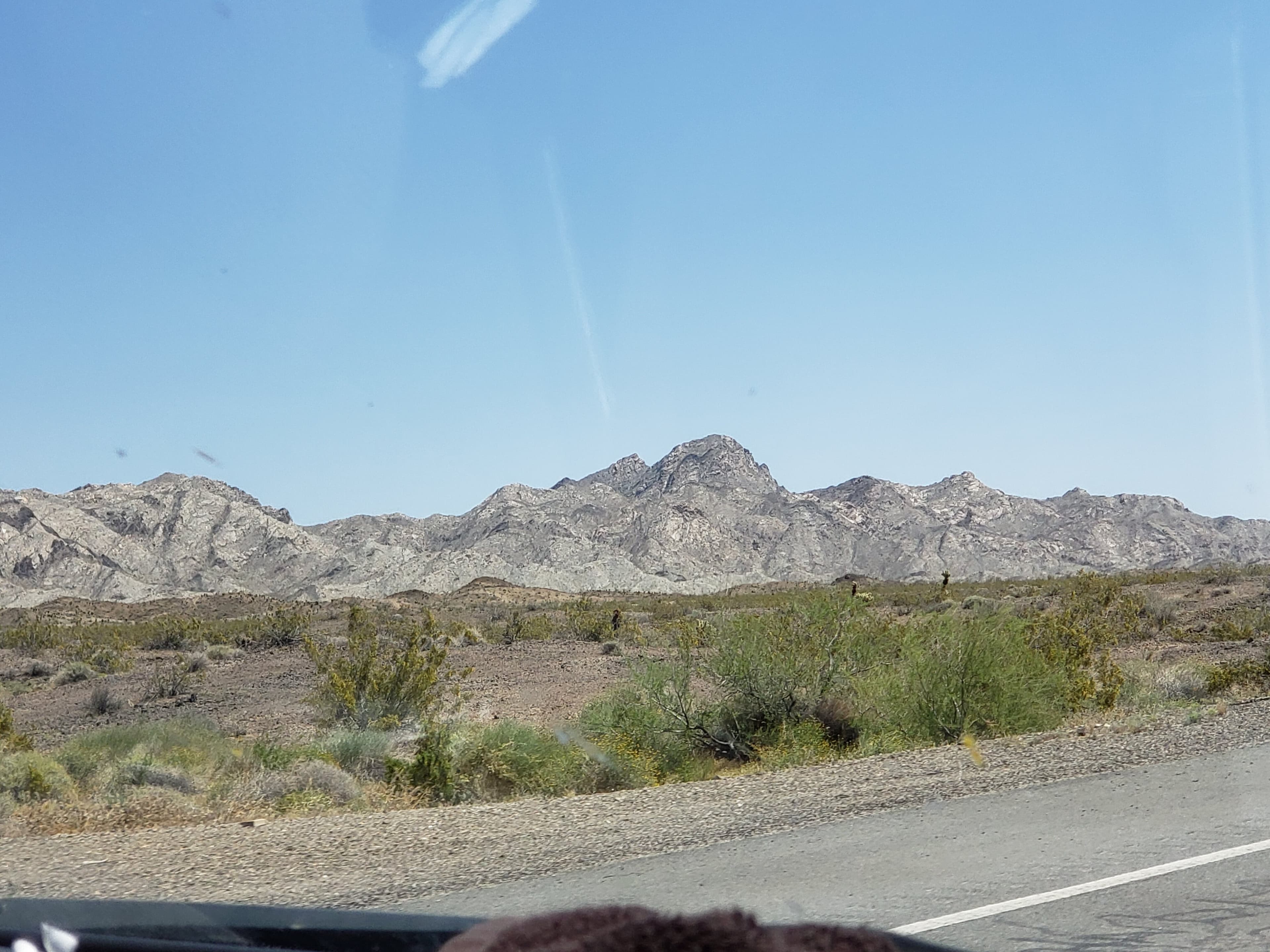 LittleTosies banner image