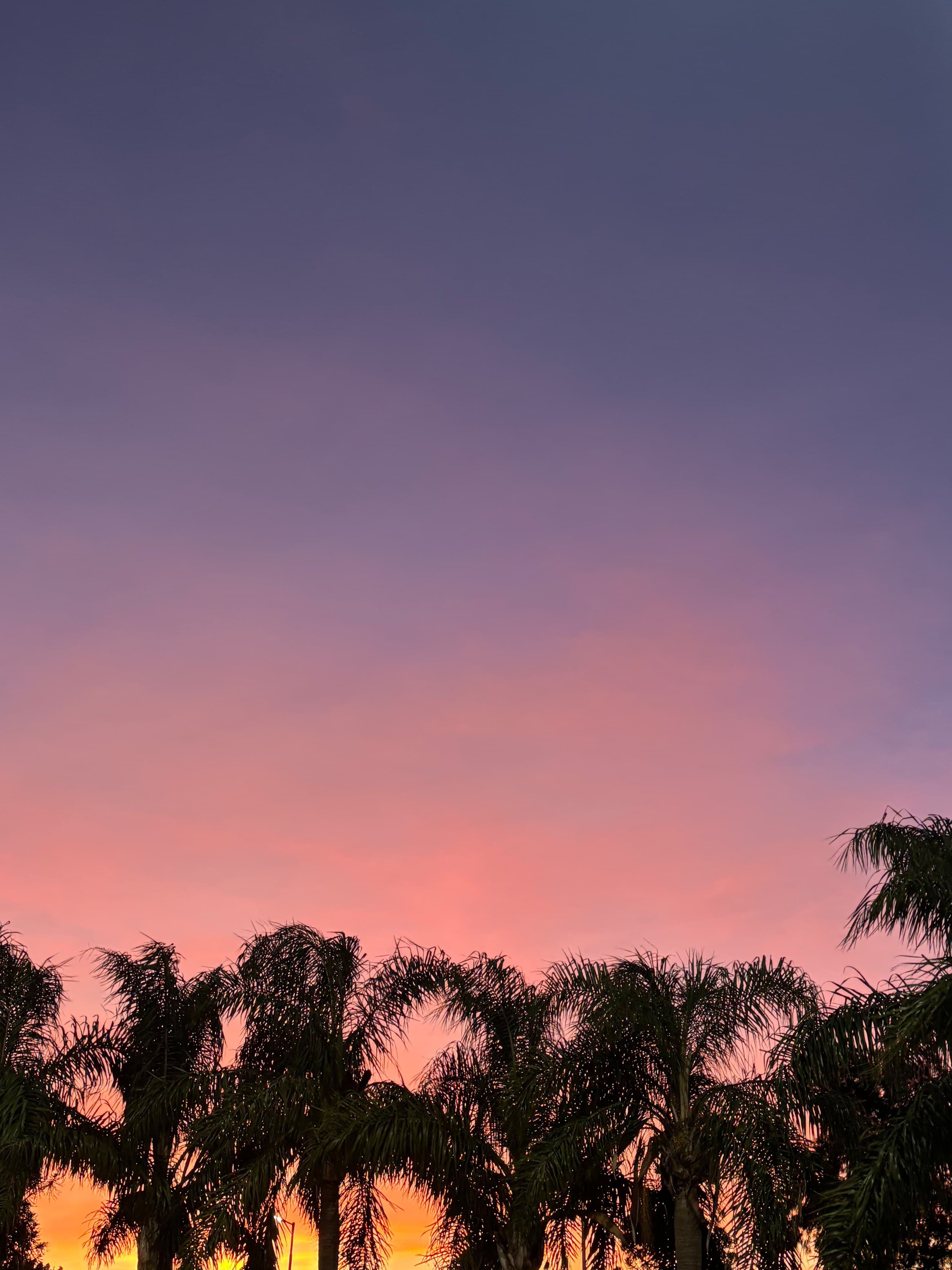 Cloe banner image