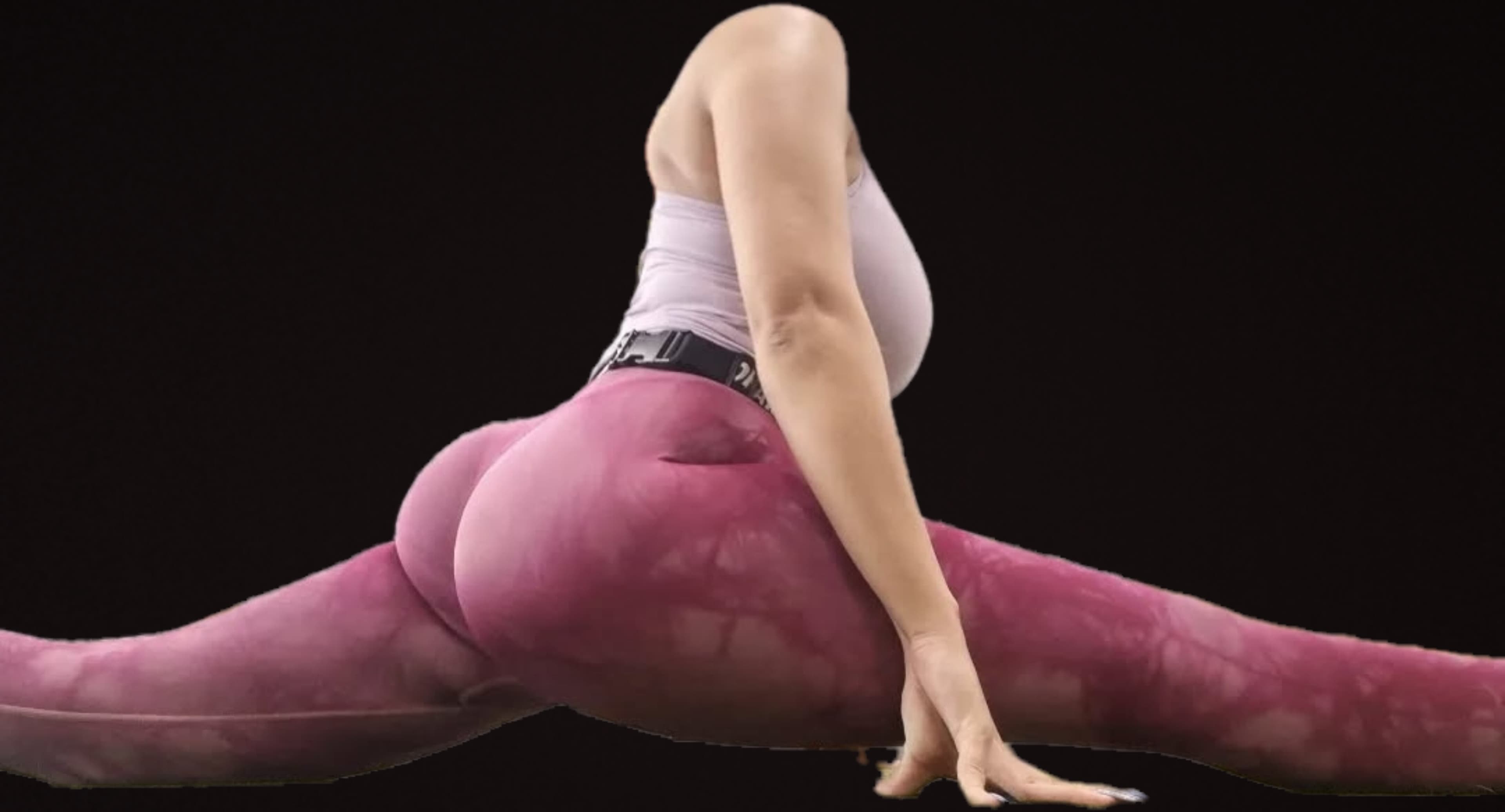 sofyalynx banner image