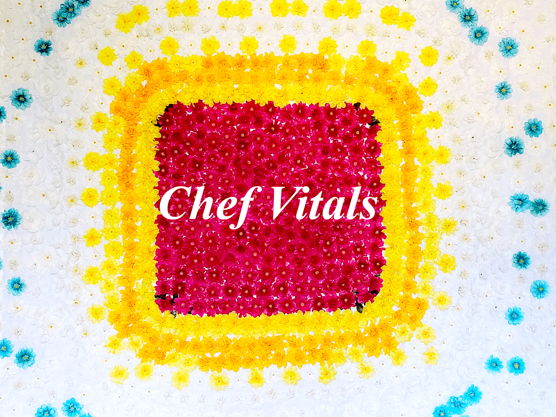 Chef Vitals banner image