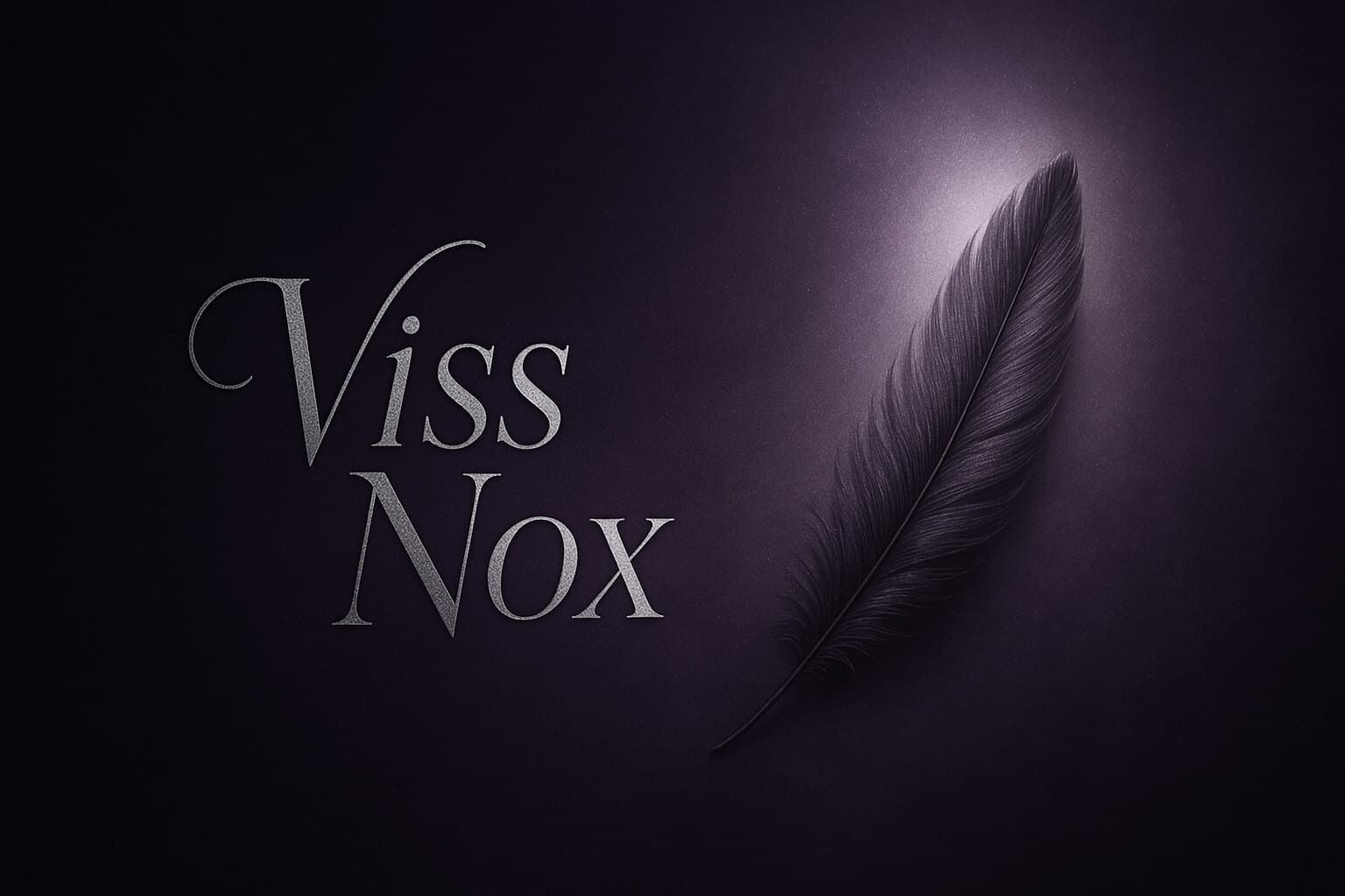 Viss Nox🖤 banner image