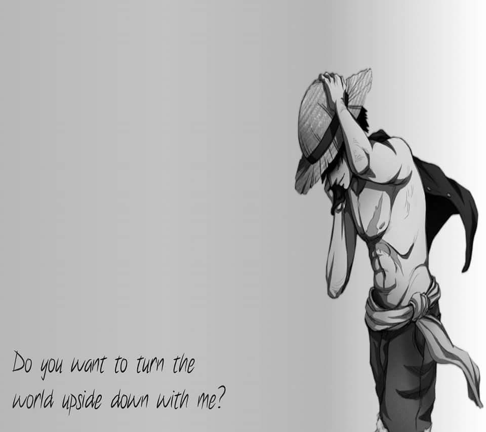 Ariel Roronoa banner image