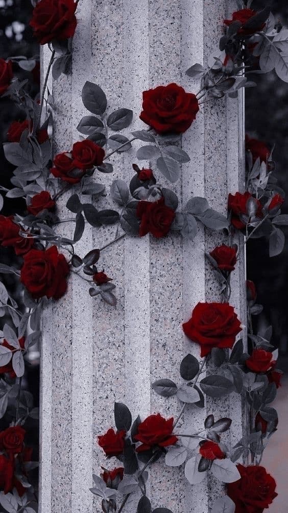 Lydia banner image