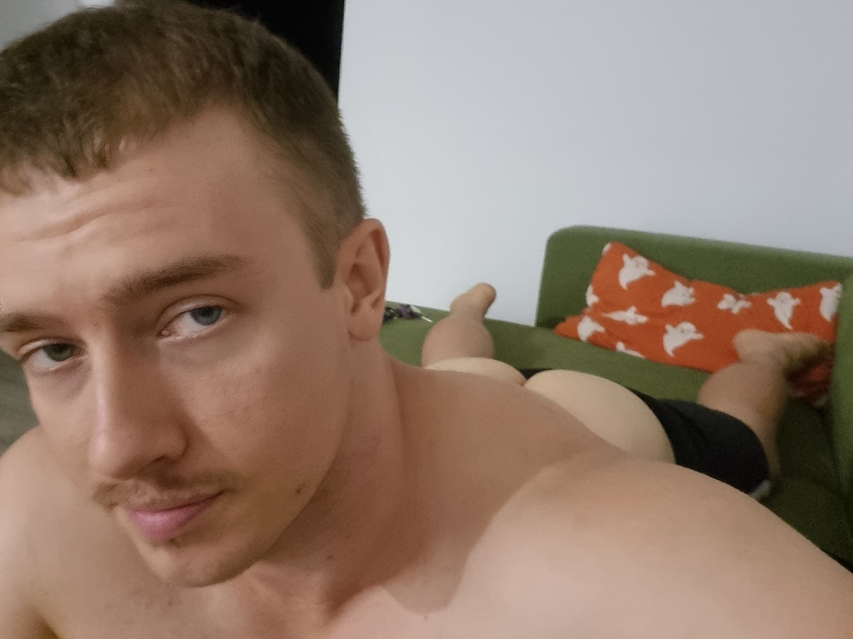 Tofu banner image