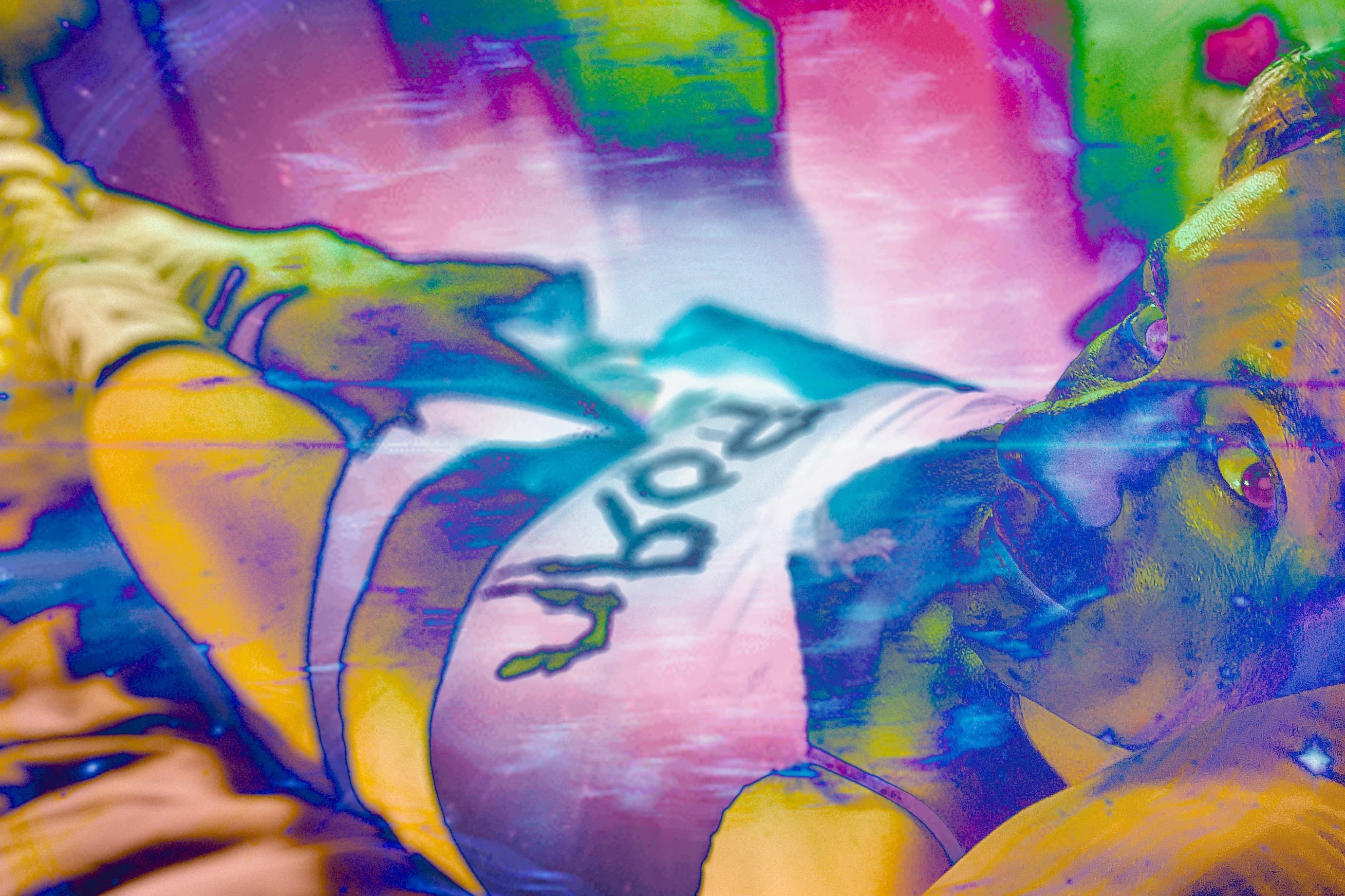 Orchyd Celestial banner image