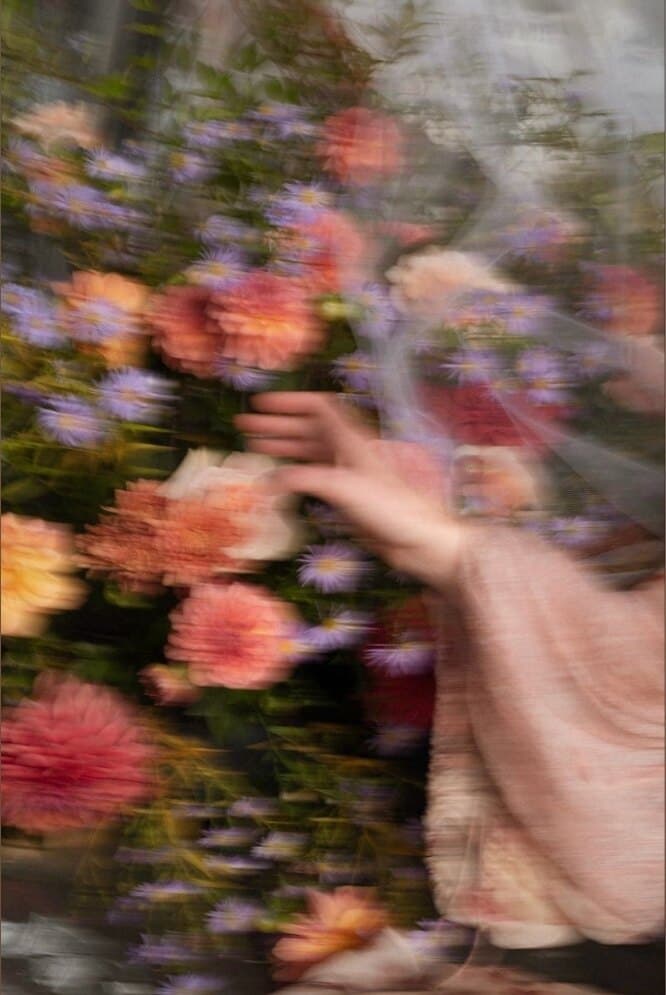 Im.emily1 banner image