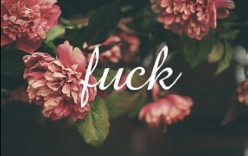 Cutiepie64 banner image