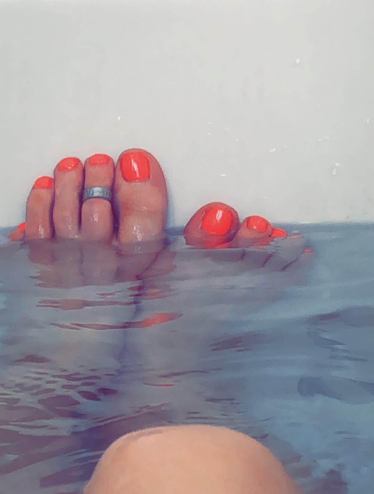 ToesyLick banner image