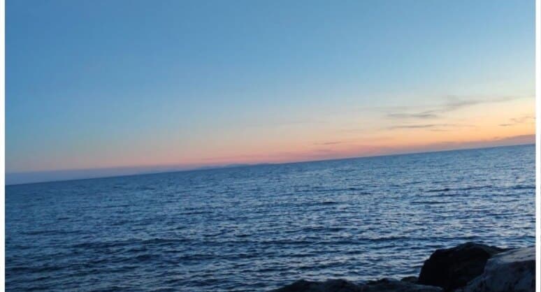 Nixie Nova banner image